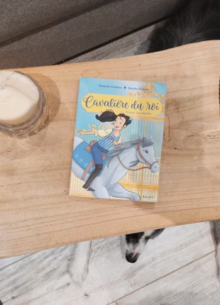 Livre Cavalière du roi tome 1, état: Satisfaisant, 1,00 €, 1,75 € Protection acheteurs incluse