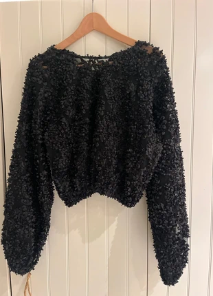 Maglia con piccoli petali e tulle perfetta per le feste Zara, merk: Zara, staat: Nieuw zonder prijskaartje, maat: L / 40 / 12, € 17,00, € 18,55 inclusief Kopersbescherming