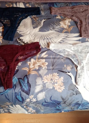 6 strings Femmes Sexy Dentelle Thongs, état: Neuf avec étiquette, taille: M / 38 / 10, 8,00 €, 9,10 € Protection acheteurs incluse