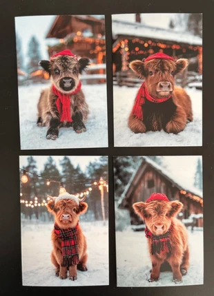 SALE! Set van 4 dubbele wenskaarten 'Hooglanders' inclusief enveloppen, staat: Nieuw met prijskaartje, € 2,00, € 2,80 inclusief Kopersbescherming