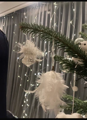 Set van 2 elegante kerstballen van veren met diamantdetails, merk: Intratuin, staat: Goed, € 2,00, € 2,80 inclusief Kopersbescherming