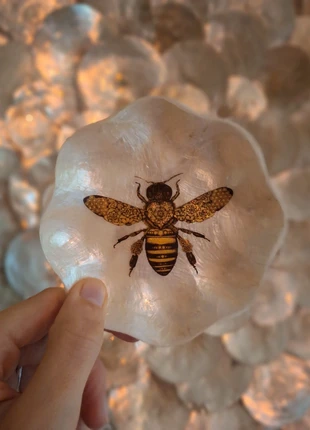 Wandbordjes wandbordje wandbord wandtegeltje tegeltje tegel tegeltjes tegels, brand: wandbordjes, condizioni: Nuovo con cartellino, €10.99, €12.24 include la Protezione acquisti