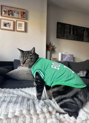 Maillot vert Boston 11 pour animal – Taille L – Neuf, marque: Boston, état: Neuf sans étiquette, 9,00 €, 10,15 € Protection acheteurs incluse
