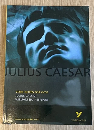 Julius Caesar: York Notes Book for GCSE, condition: Good, £1.50, £1.92 includes Buyer Protection