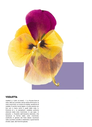 Poster Violetta (formato A3), brand: No, condizioni: Nuovo con cartellino, €8.99, €10.14 include la Protezione acquisti