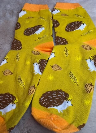 Chaussettes hérissons, marca: pas de marque, estado: Nuevo sin etiquetas, tamaño: S | 35–38, 2,50 €, 3,33 € Protección al comprador Pro incluida