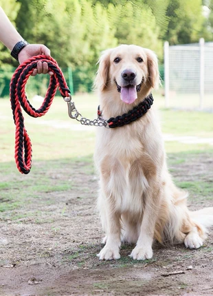 Closing sale!! Dog Collar and Leash, marque: and, état: Neuf, taille: L, 5,00 €, 5,95 € Protection acheteurs incluse