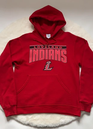 Pull sweat à capuche, merk: American College, staat: Heel goed, maat: S, € 3,00, € 3,85 inclusief Kopersbescherming