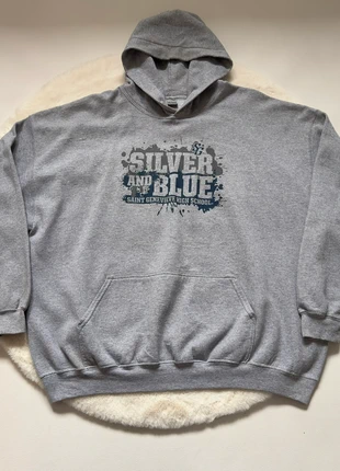 Pull sweat à capuche gris, merk: American College, staat: Heel goed, maat: XXL, € 3,00, € 3,85 inclusief Kopersbescherming