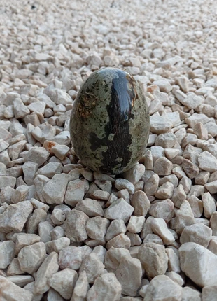 Œuf en marbre pierre marron vert foncé italien, marque: Art, état: Neuf sans étiquette, 10,00 €, 11,20 € Protection acheteurs incluse