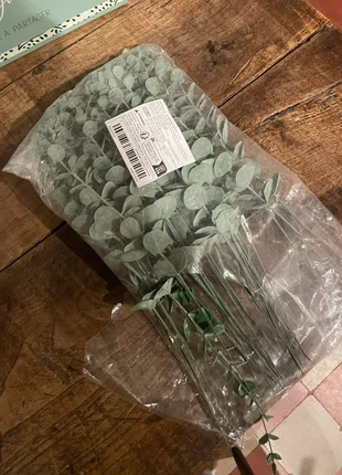 Lots de tiges eucalyptus, condition: Very good, €4.00, €4.90 includes Buyer Protection