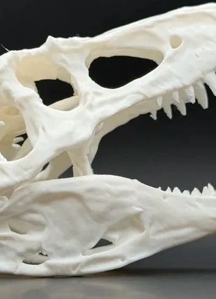 Cranio T-REX stampa 3d, marke: Stampe, zustand: Neu, mit Etikett, 15,00 €, 16,45 € inklusive Vinted-Käuferschutz