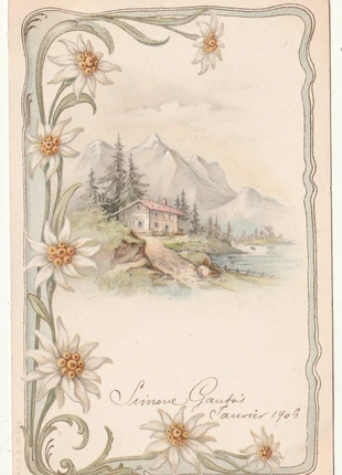 Carte Postale Ancienne . Fantaisie fleurs . edelweiss . paysage . 1906, état: Très bon état, 1,00 €, 1,75 € Protection acheteurs incluse