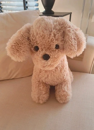 Knuffel hond beige, merk: toy's, staat: Heel goed, maat: Universeel, € 6,00, € 7,00 inclusief Kopersbescherming Pro