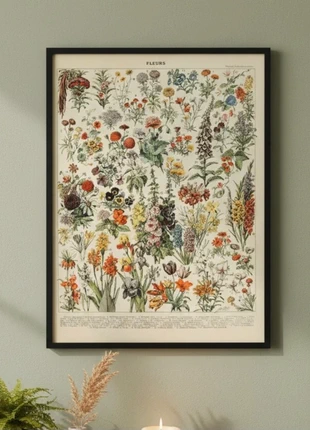 Affiche encyclopédique fleurs, condition: New without tags, €13.00, €14.35 includes Buyer Protection