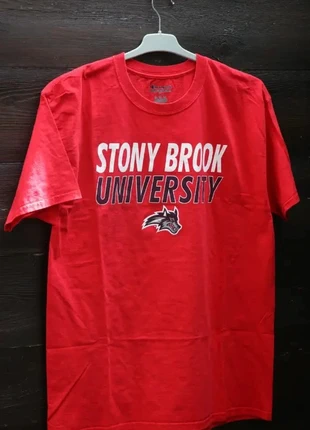 Tee-shirt Stony Brook Vintage – Taille L Homme, brand: Champion, condition: Very good, size: L, €8.00, €9.10 includes Buyer Protection Pro