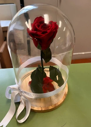 Rosa vera stabilizzata, merk: Amano fiori, staat: Heel goed, € 15,00, € 16,45 inclusief Kopersbescherming