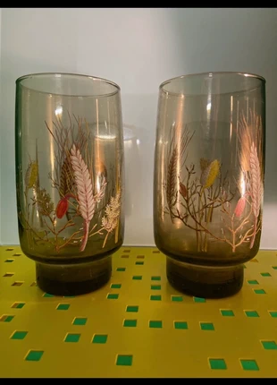 Lot de 2 verres vintage fumés – motif botanique années 70, brand: Luminarc, condition: Very good, €19.00, €20.65 includes Buyer Protection