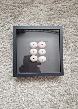 Zwart 3-d lijstje met beige zeeegels ibiza stijl, merk: CHIC, staat: Nieuw zonder prijskaartje, € 32,50, € 34,83 inclusief Kopersbescherming Pro