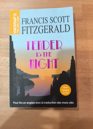 Tender Is the Night – F. Scott Fitzgerald – États‑Unis, état: Très bon état, 2,00 €, 2,80 € Protection acheteurs incluse