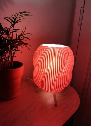Lampe Vase Organique - Lumière Douce & Design Sculptural 🌺, marca: Filamentora, estado: Novo com etiquetas, €28.00, €30.10 inclui Proteção do Comprador Pro