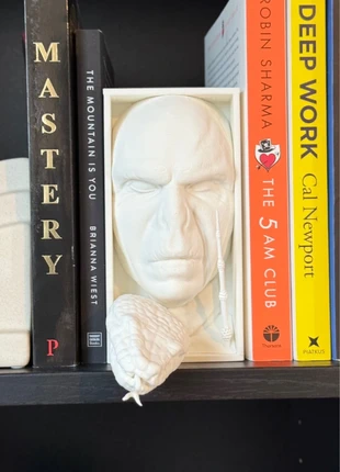 Voldemort Book Nook – Dark Wizard | Nagini | Handgemaakt, marca: Harry Potter, estado: Nuevo sin etiquetas, 15,00 €, 16,45 € Protección al comprador incluida