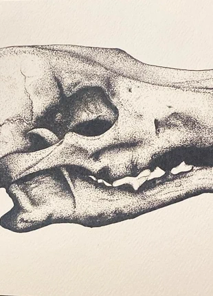 Stampa fine art coyote cranio, marke: Art, zustand: Neu, 7,00 €, 8,05 € inklusive Vinted-Käuferschutz