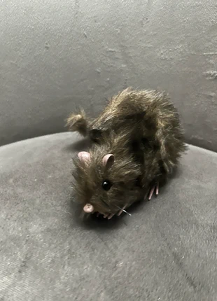 Ratto skeleton decoration boland, marque: Boland, état: Neuf sans étiquette, taille: Taille unique, 4,99 €, 5,94 € Protection acheteurs incluse