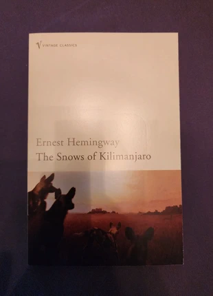 Vintage classics novel, condition: New without tags, £2.00, £2.80 includes Buyer Protection