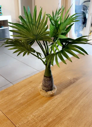 Décoration plante tropicale Aqua -Terrarium, marque: Truffaut, état: Très bon état, 10,00 €, 11,20 € Protection acheteurs incluse