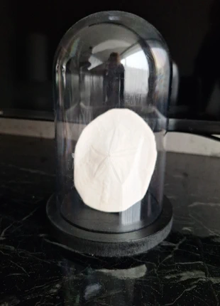 Plexiglas stolp met sanddollar ornament ibiza chique, merk: CHIC, staat: Nieuw zonder prijskaartje, € 23,50, € 25,38 inclusief Kopersbescherming Pro