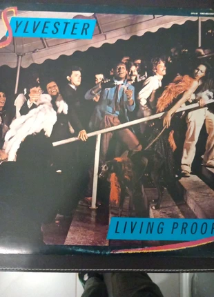 Vinyle Sylvester, état: Très bon état, 13,00 €, 14,35 € Protection acheteurs incluse