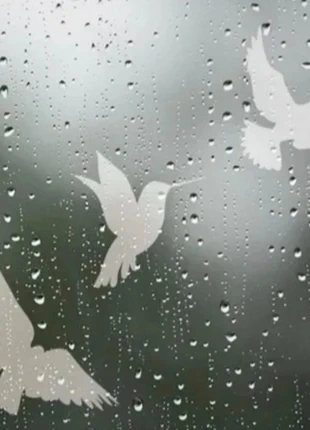 Stikers fenêtre oiseaux 16pcs décoration anti-collision vitre, état: Neuf avec étiquette, 15,00 €, 16,45 € Protection acheteurs incluse