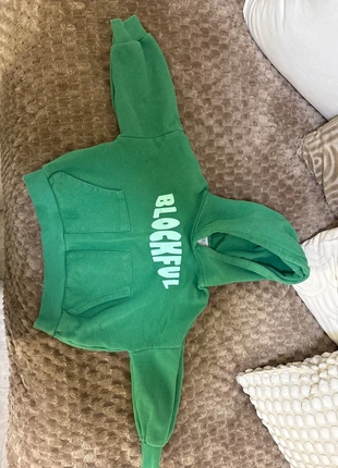 Hoodie zara, merk: Zara, staat: Goed, maat: 3 jaar / 98 cm, € 3,00, € 3,85 inclusief Kopersbescherming