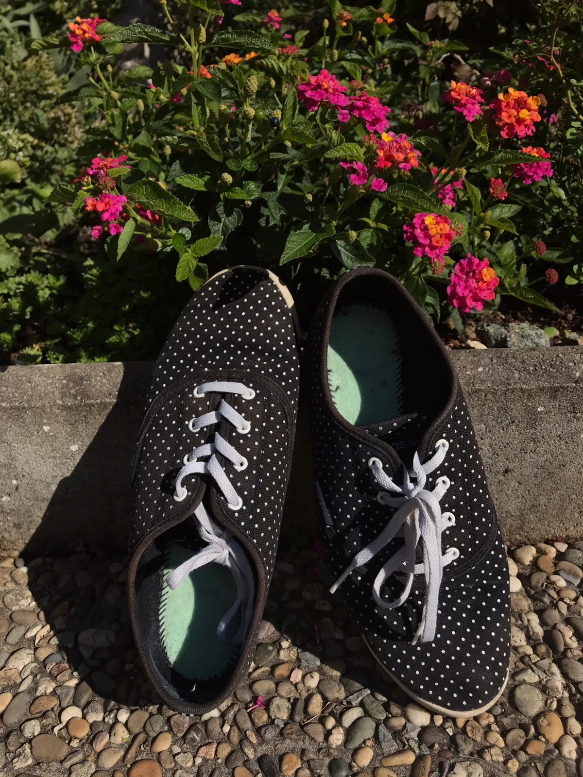 Adidas neo gepunktet sales