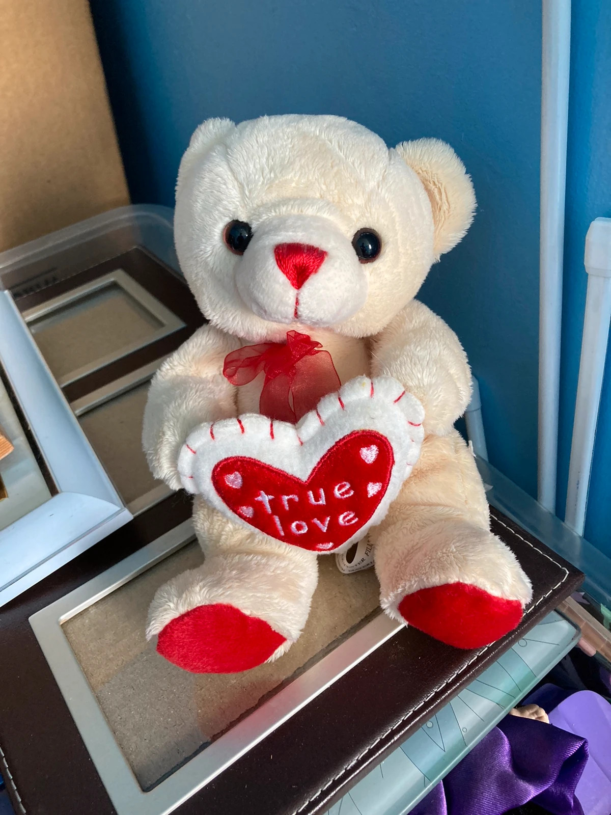 True love outlet teddy bear