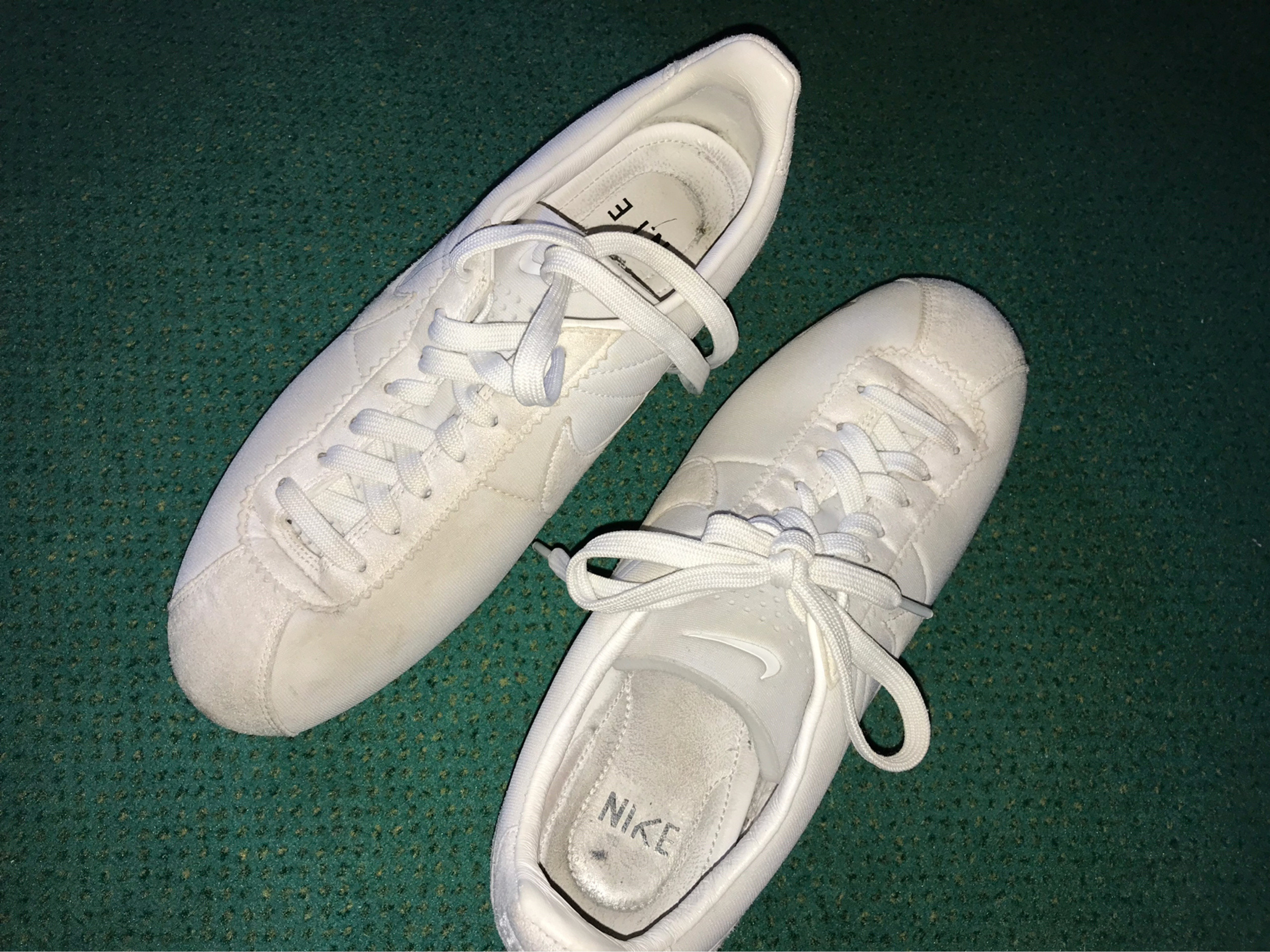 Shark tooth cortez sales