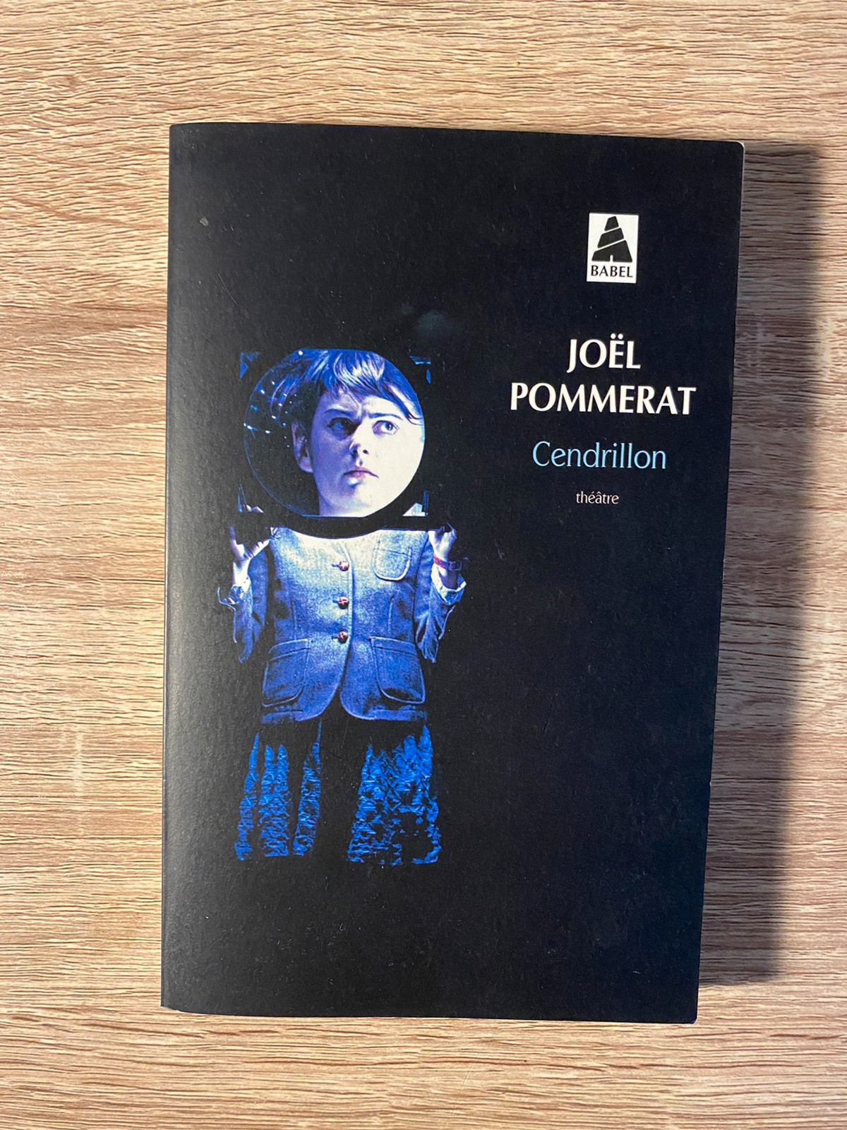 Livre cendrillon de Joël Pommerat