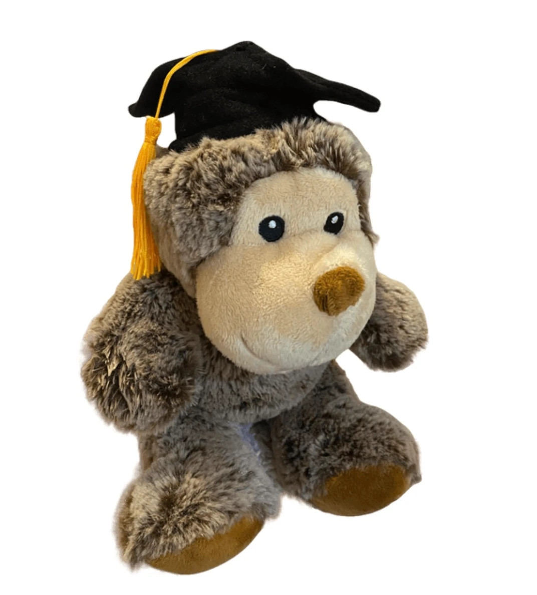 Graduation teddy bear sale clintons