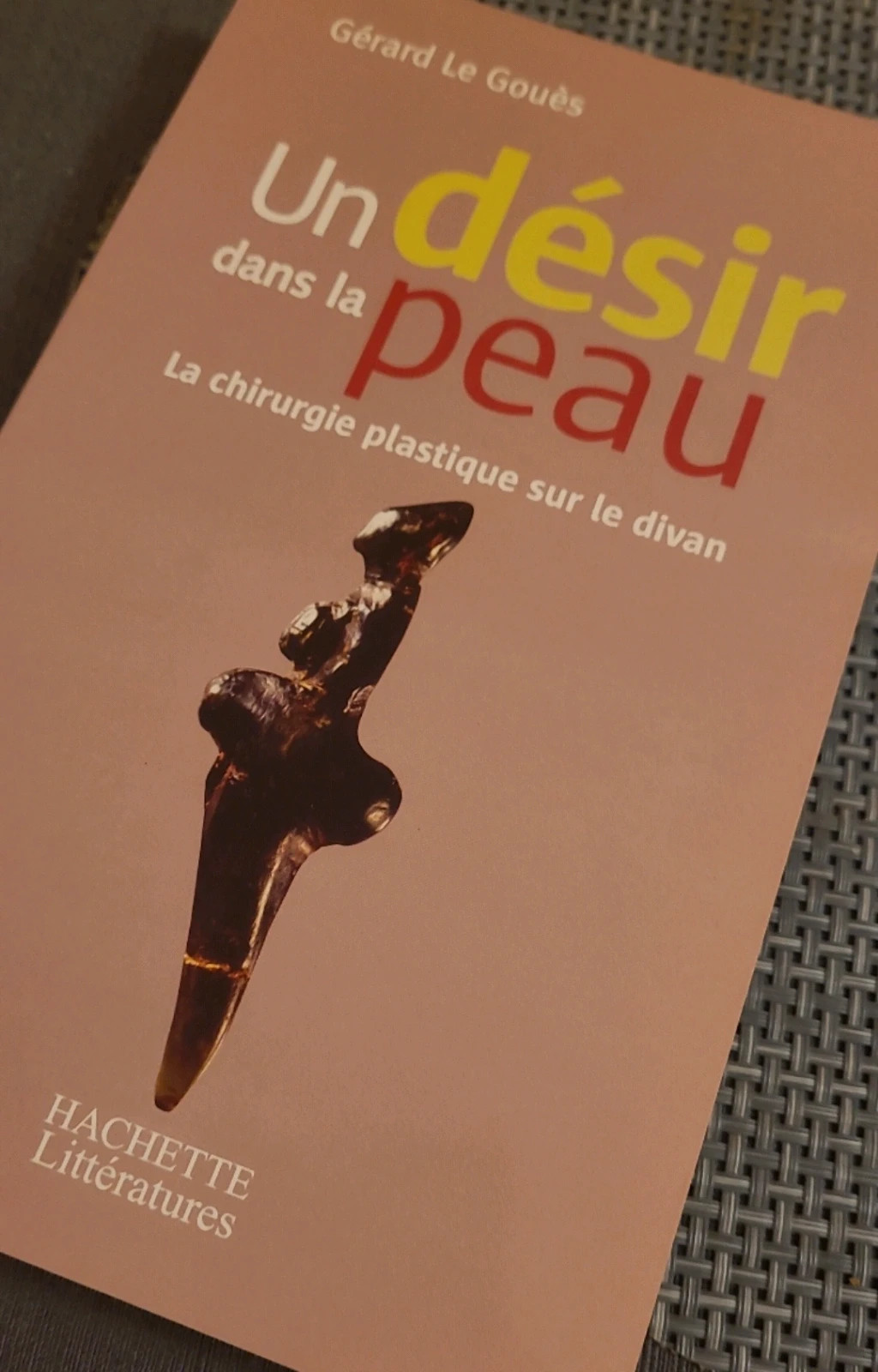 Un désir dans la peau | Vinted