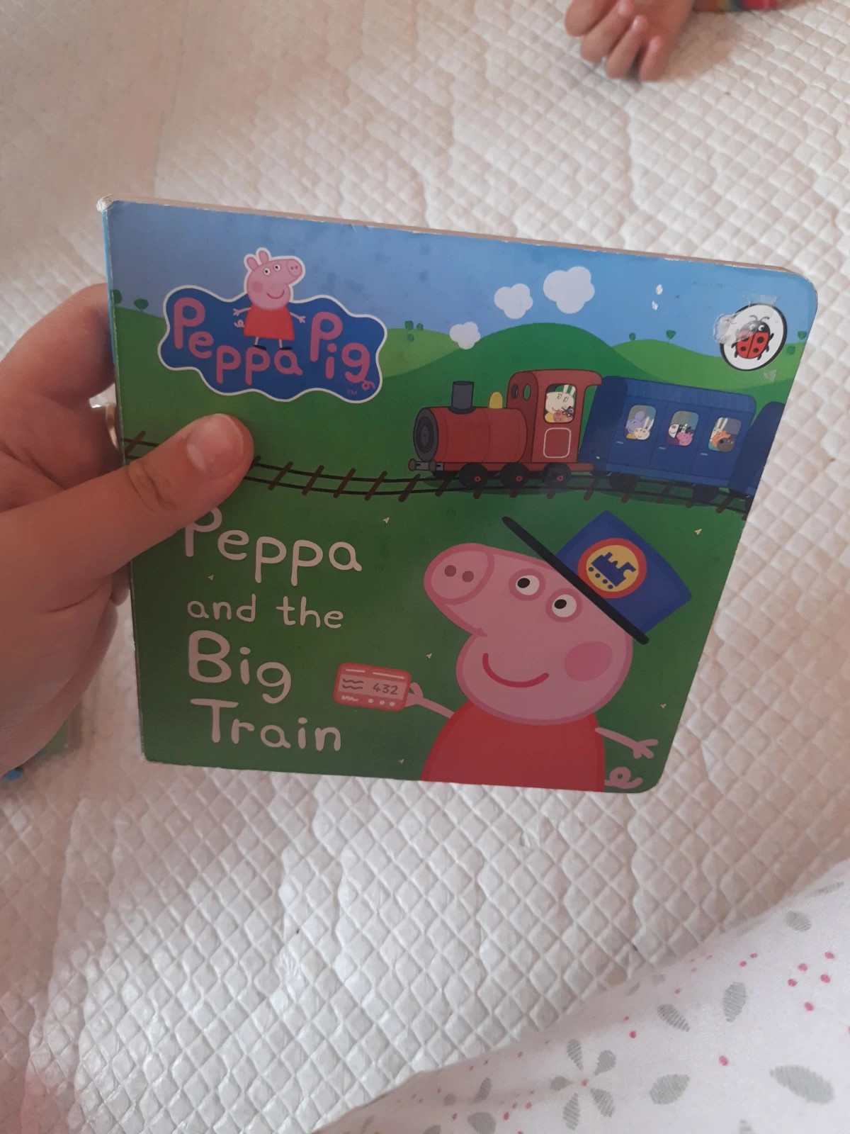 Peppa pig and the big train book | Vinted