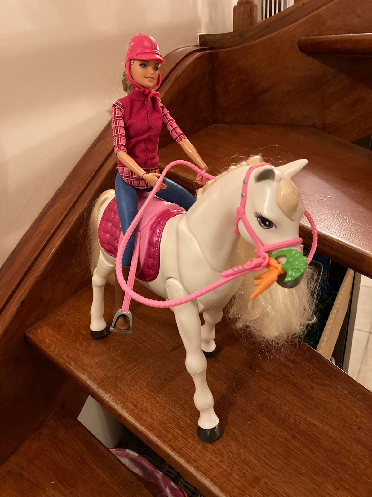 BARBIE Poupée Barbie et son cheval de Rêve pas cher 