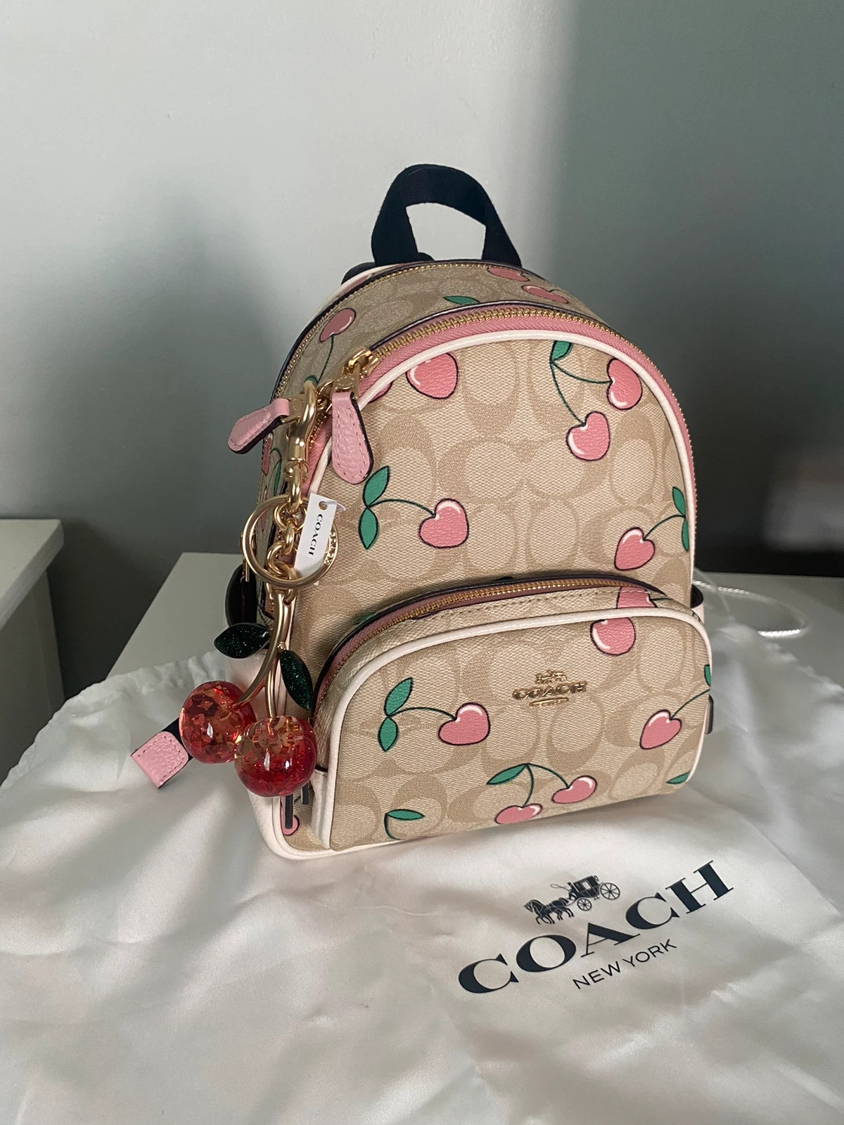 Coach Mini Court Backpack In Signature Canvas With Heart Cherry Print Vinted