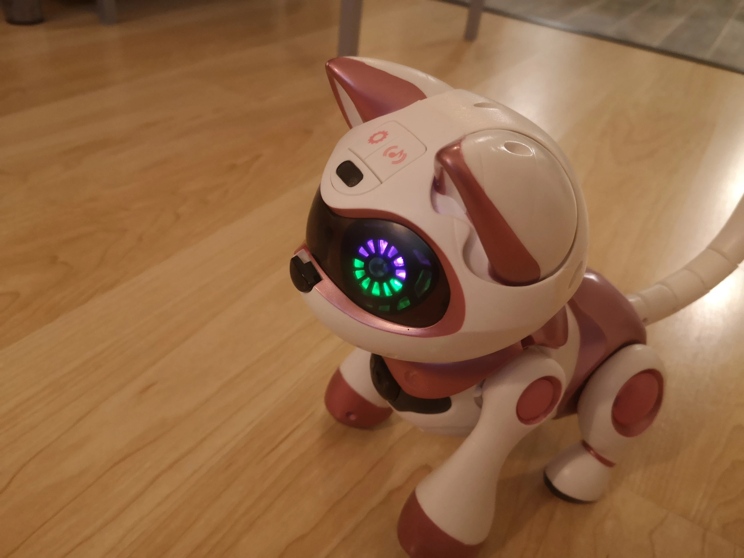 Robot chat TEKSTA kitty rose