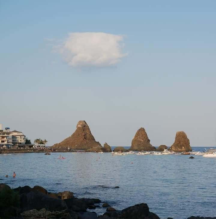 giacca ecopelle Sisley Vinted