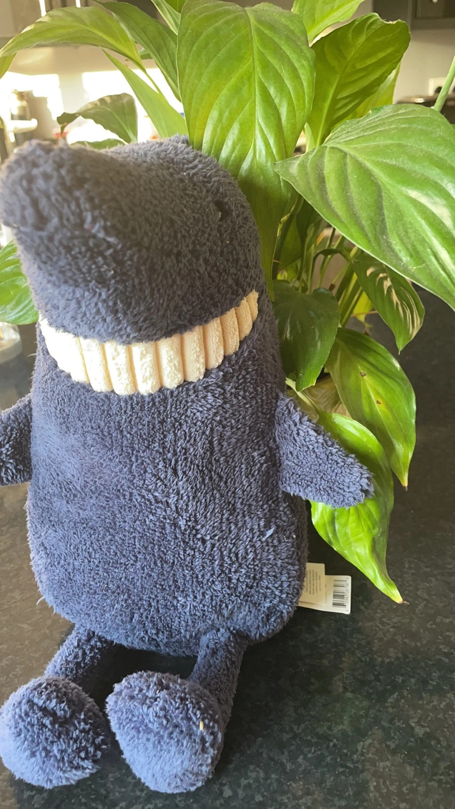 Jellycat toothy dog sales