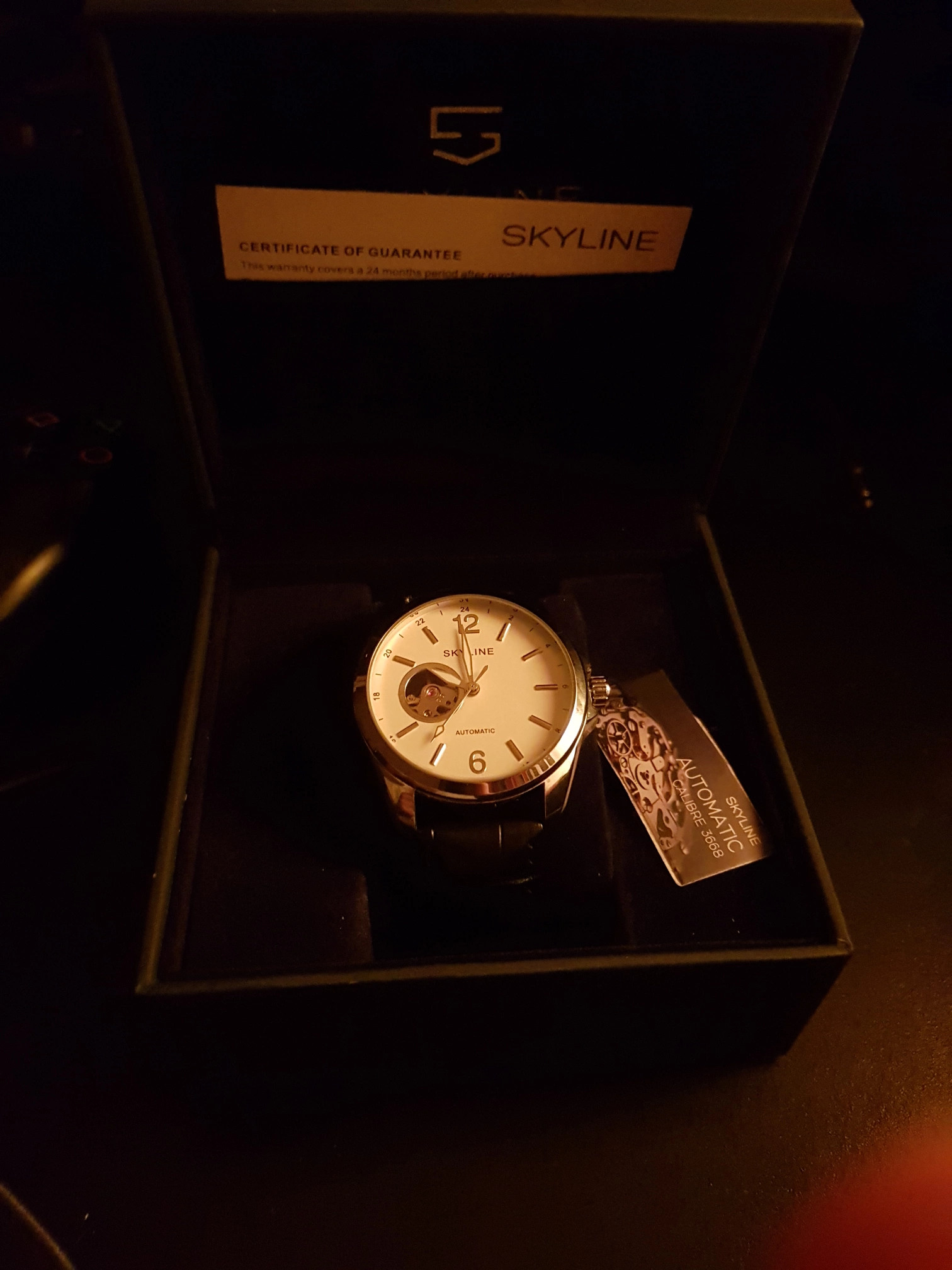 Skyline watches 2025 automatic 3668