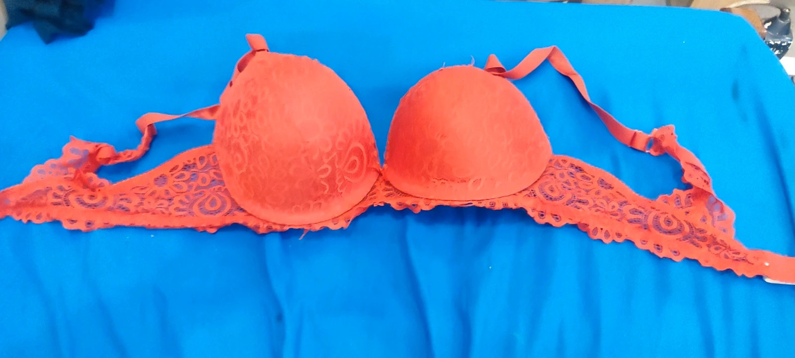 Reggiseno janina