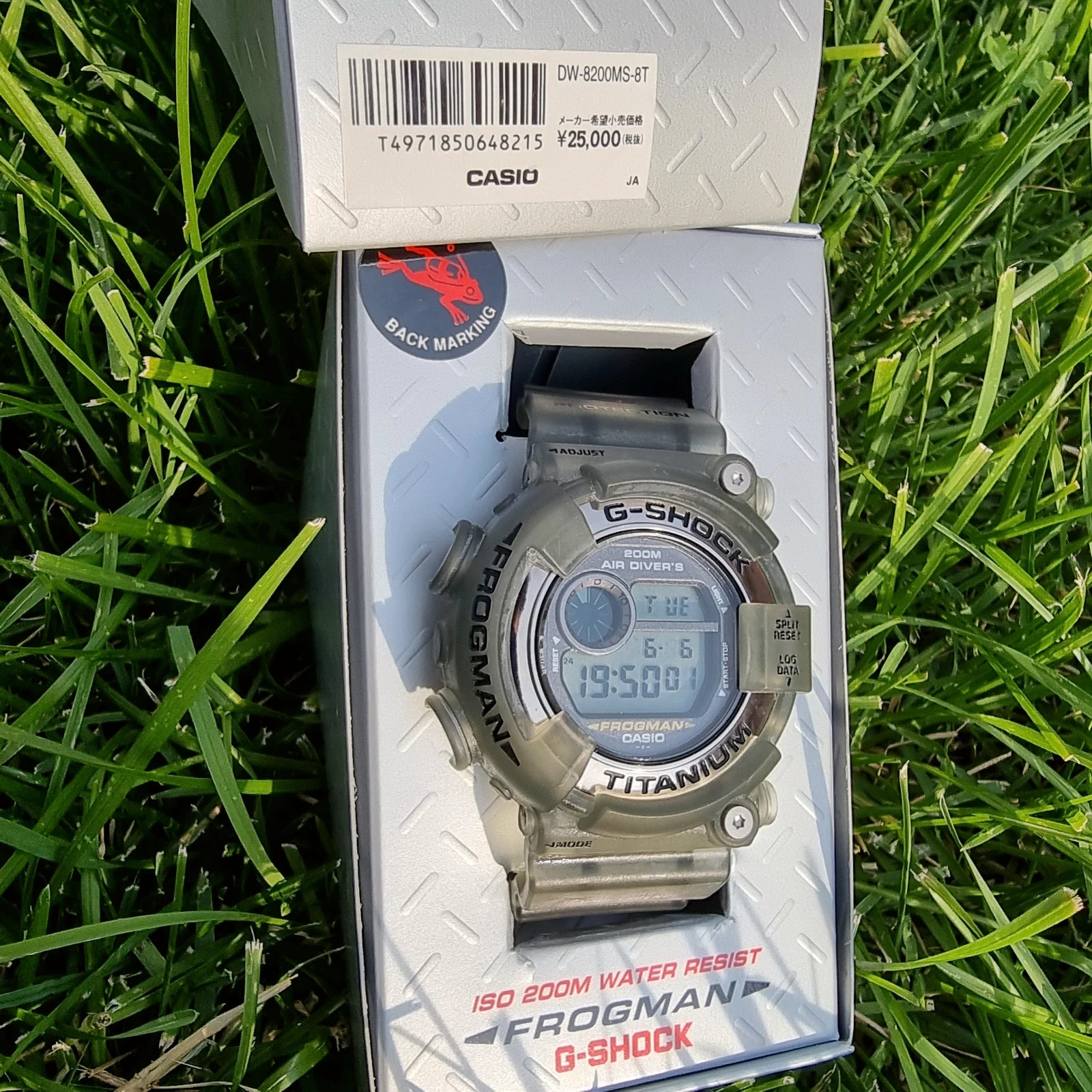 Casio G-shock Frogman DW-8200 smoke grey | Vinted