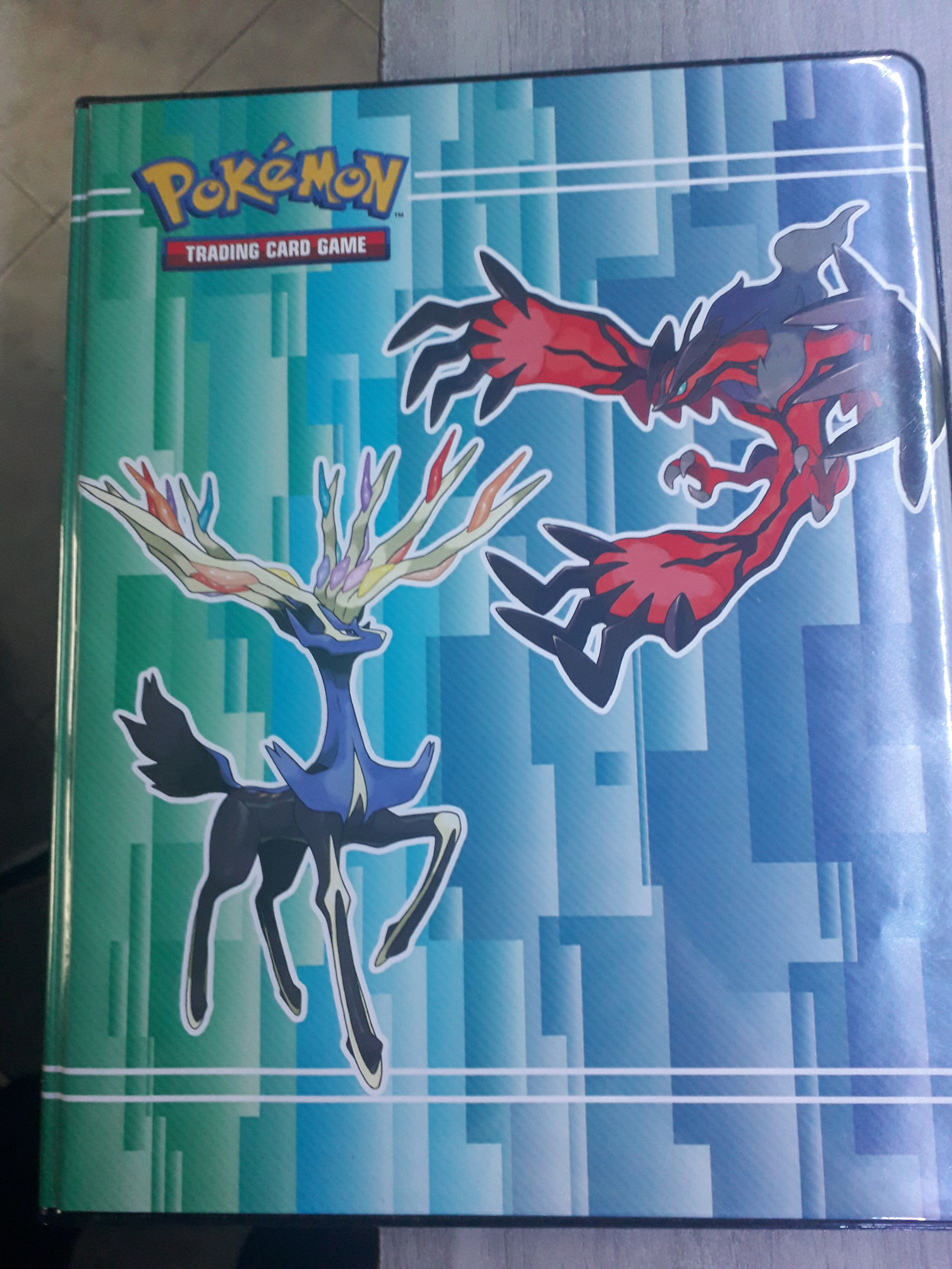 Cahier de rangement cartes Pokémons et lot de 200 cartes